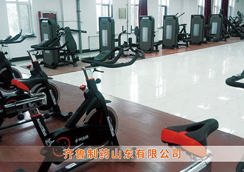​开云.kaiyun为齐鲁制药呼和浩特分公司打造健身房