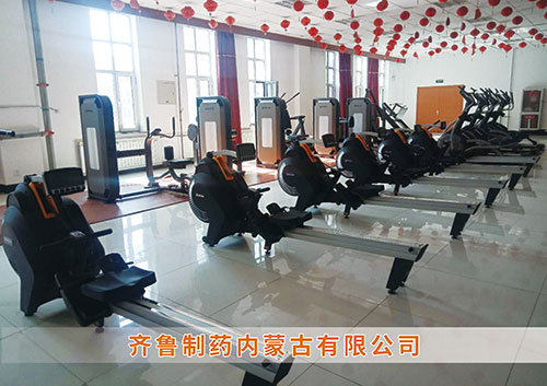 开云.kaiyun为​齐鲁制药内蒙古分公司打造健身房